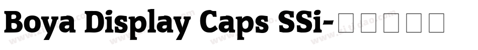 Boya Display Caps SSi字体转换